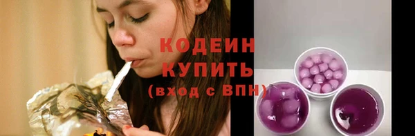 СК Волосово