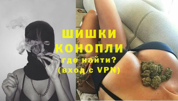 СК Волосово